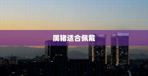 属猪适合佩戴