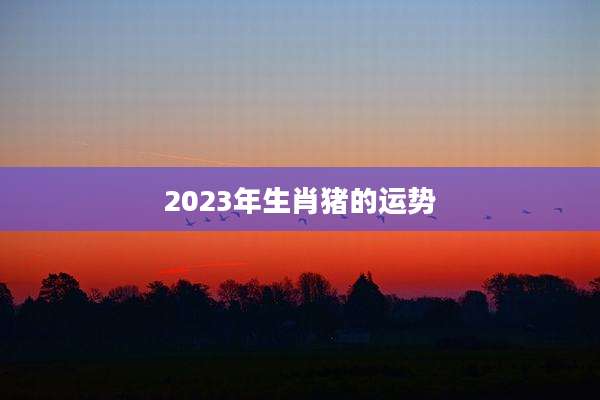 2023年生肖猪的运势