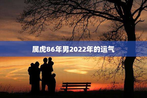 属虎86年男2022年的运气