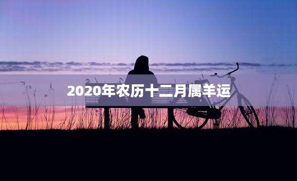 2020年农历十二月属羊运