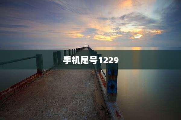 手机尾号1229