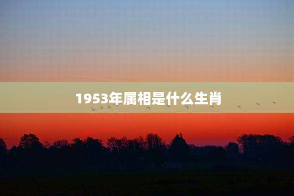 1953年属相是什么生肖