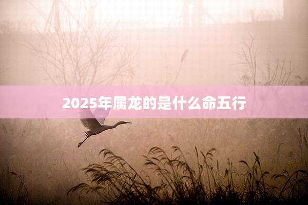 2025年属龙的是什么命五行