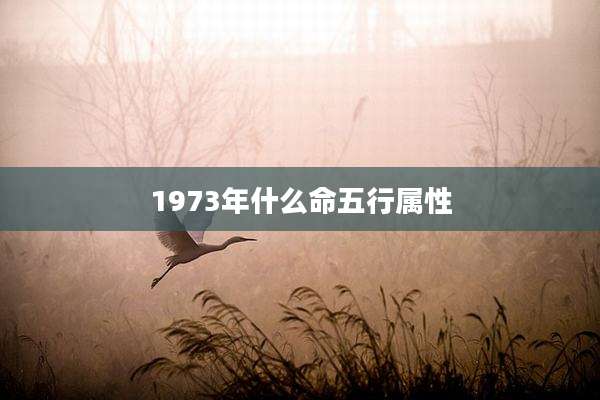 1973年什么命五行属性