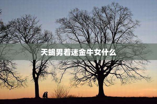 天蝎男着迷金牛女什么