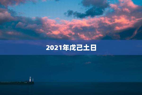 2021年戊己土日