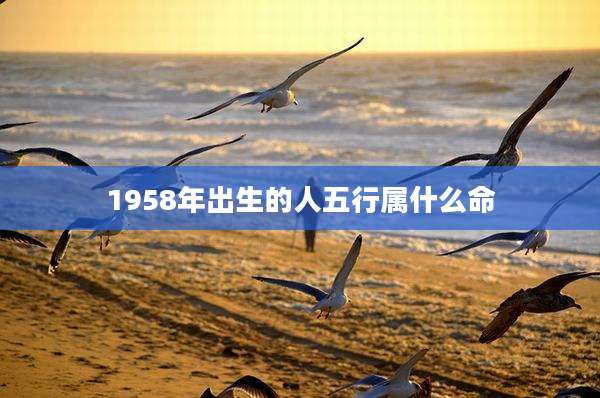 1958年出生的人五行属什么命