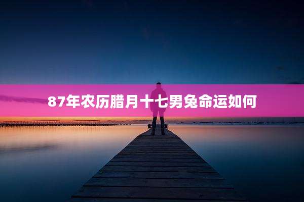 87年农历腊月十七男兔命运如何