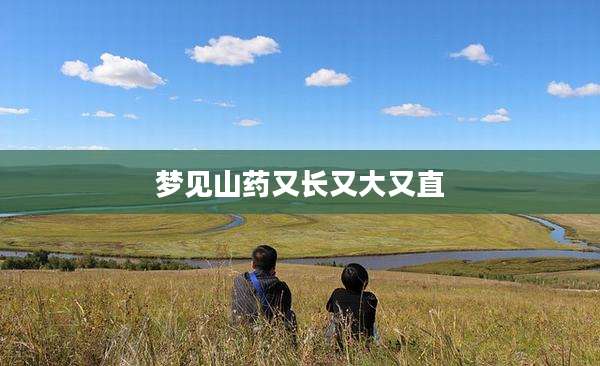 梦见山药又长又大又直