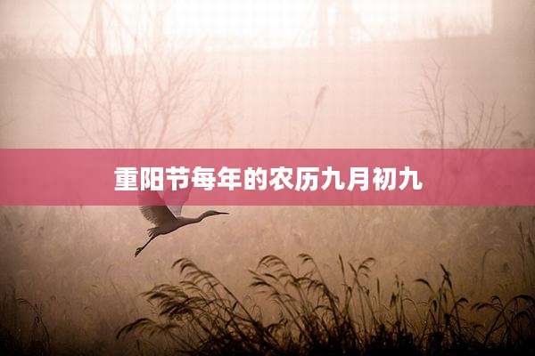 重阳节每年的农历九月初九