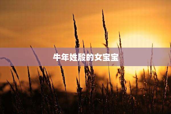 牛年姓殷的女宝宝