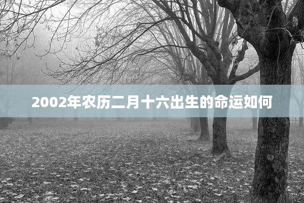 2002年农历二月十六出生的命运如何