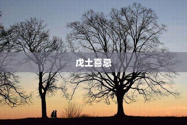 戊土喜忌