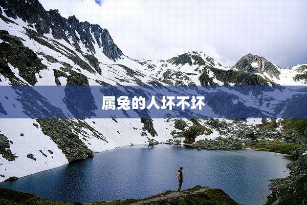 属兔的人坏不坏