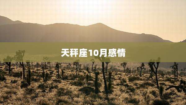 天秤座10月感情
