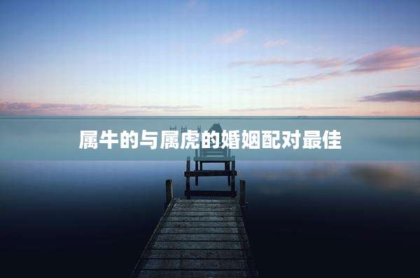 属牛的与属虎的婚姻配对最佳