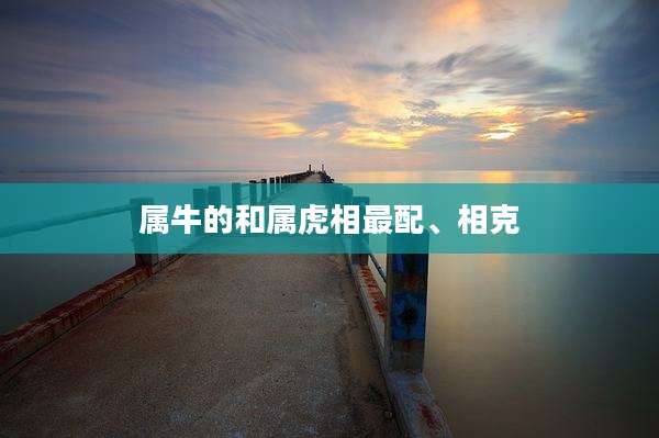 属牛的和属虎相最配、相克