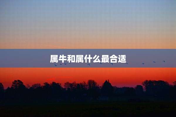 属牛和属什么最合适