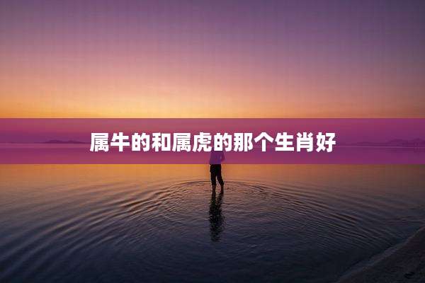 属牛的和属虎的那个生肖好