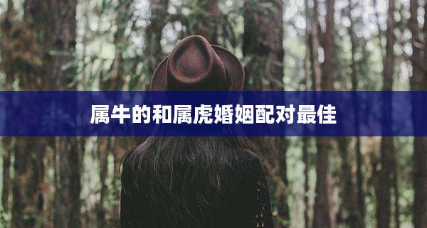 属牛的和属虎婚姻配对最佳