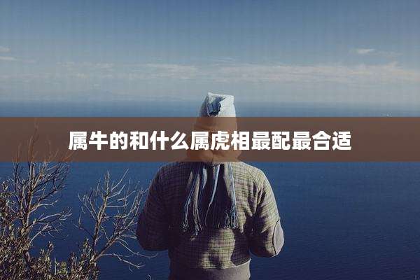 属牛的和什么属虎相最配最合适