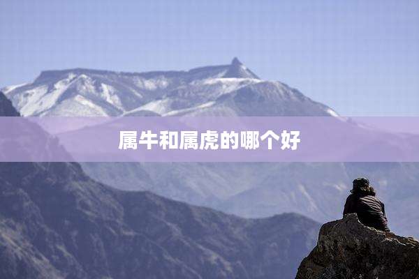 属牛和属虎的哪个好