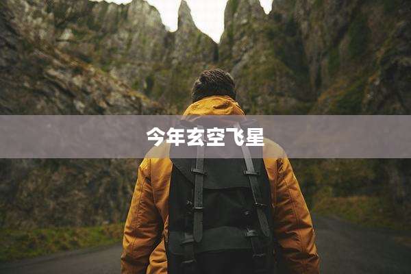 今年玄空飞星