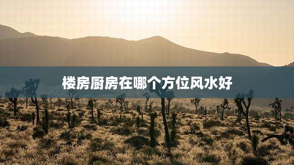 楼房厨房在哪个方位风水好