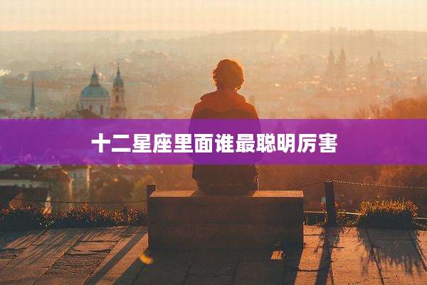 十二星座里面谁最聪明厉害