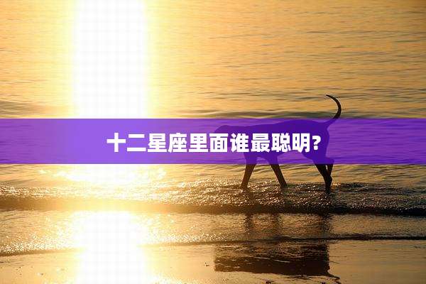 十二星座里面谁最聪明?