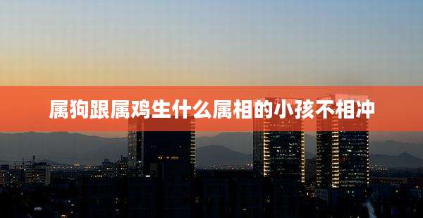 属狗跟属鸡生什么属相的小孩不相冲