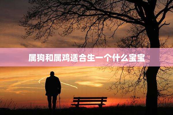 属狗和属鸡适合生一个什么宝宝