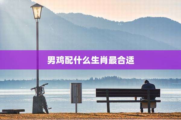 男鸡配什么生肖最合适