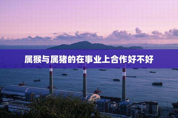 属猴与属猪的在事业上合作好不好