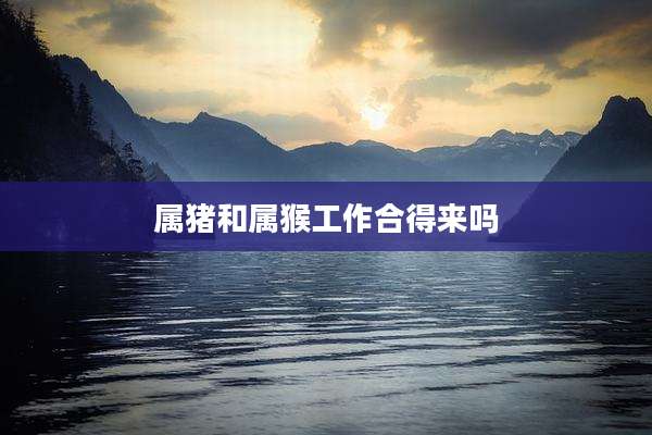 属猪和属猴工作合得来吗