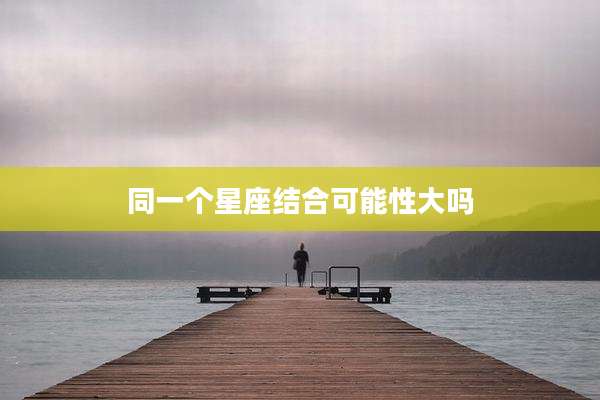 同一个星座结合可能性大吗