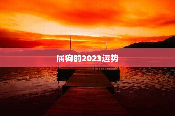 属狗的2023运势