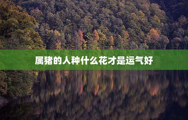 属猪的人种什么花才是运气好