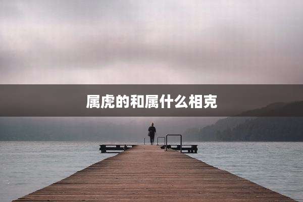 属虎的和属什么相克