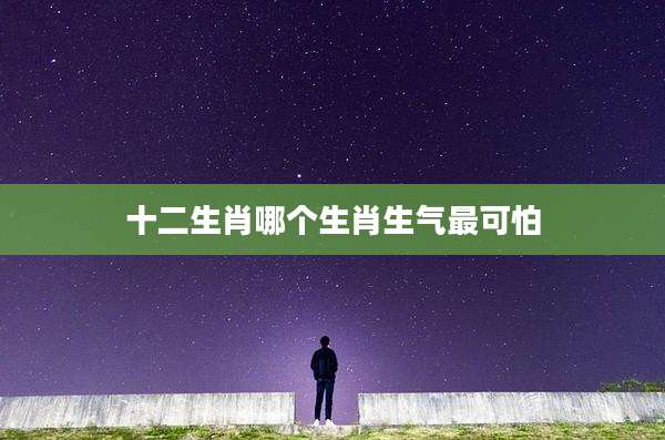 十二生肖哪个生肖生气最可怕