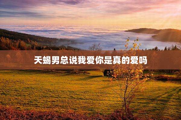 天蝎男总说我爱你是真的爱吗