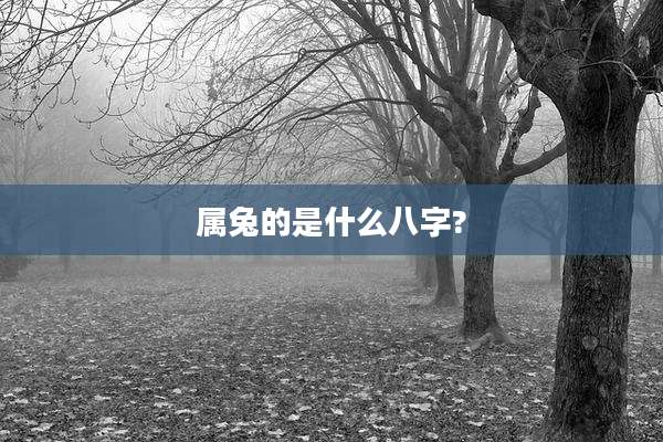 属兔的是什么八字?