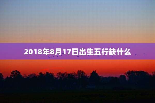 2018年8月17日出生五行缺什么
