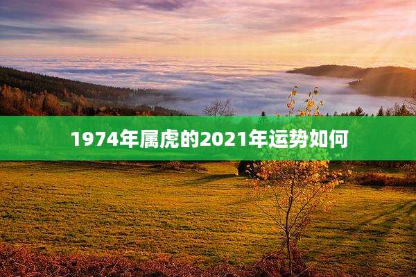 1974年属虎的2021年运势如何