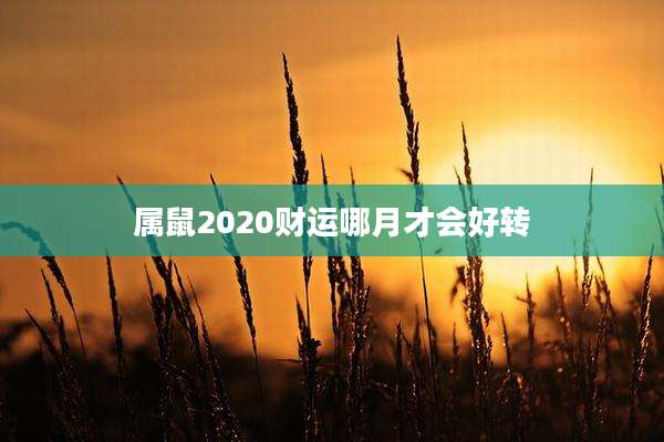 属鼠2020财运哪月才会好转