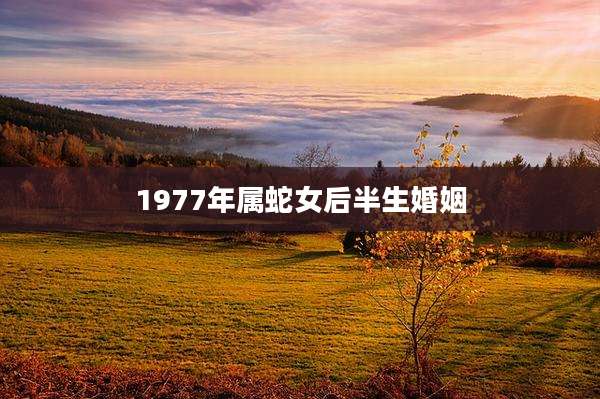 1977年属蛇女后半生婚姻