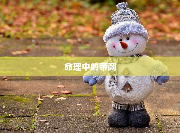 命理中的帝阙