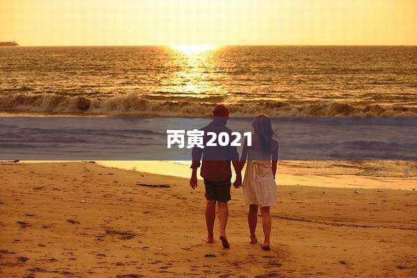 丙寅2021
