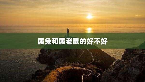 属兔和属老鼠的好不好