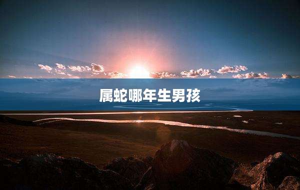 属蛇哪年生男孩